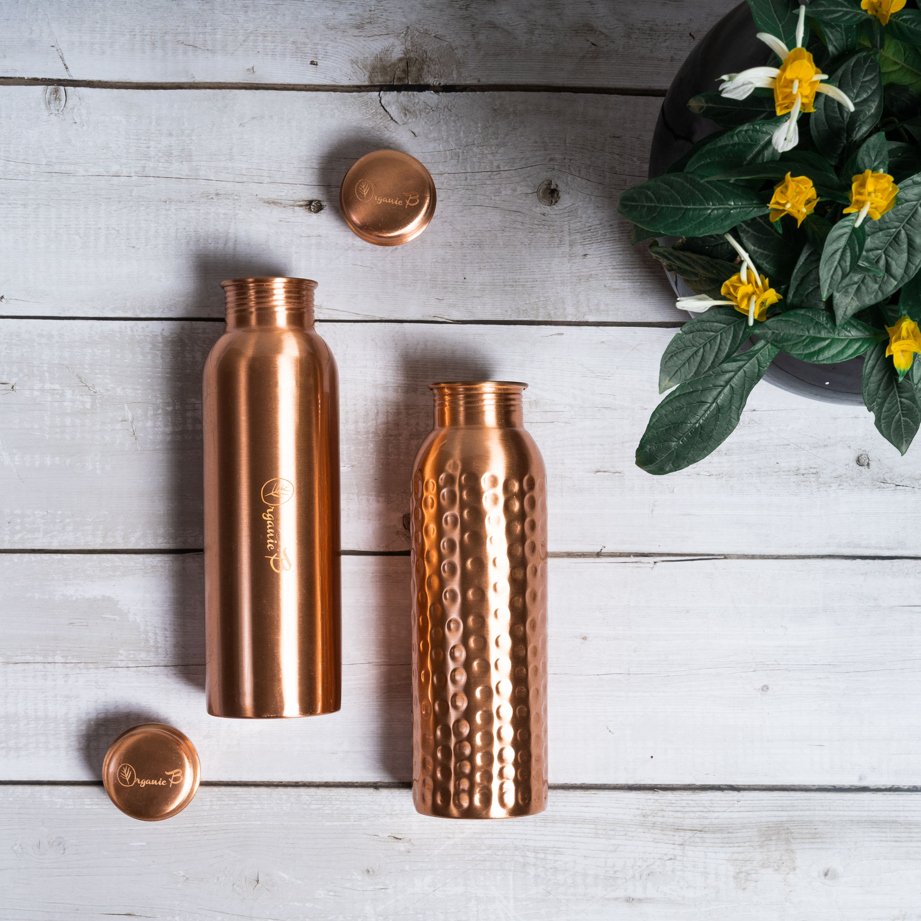 Organic B Plain & Hammered Copper Bottle Combo