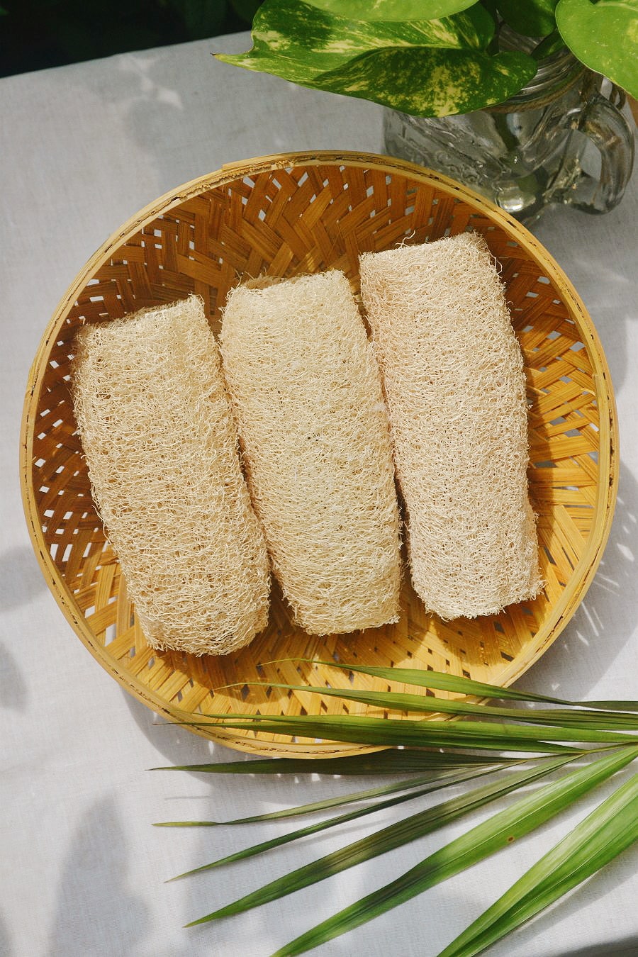 Almitra Sustainables Loofah Sponge