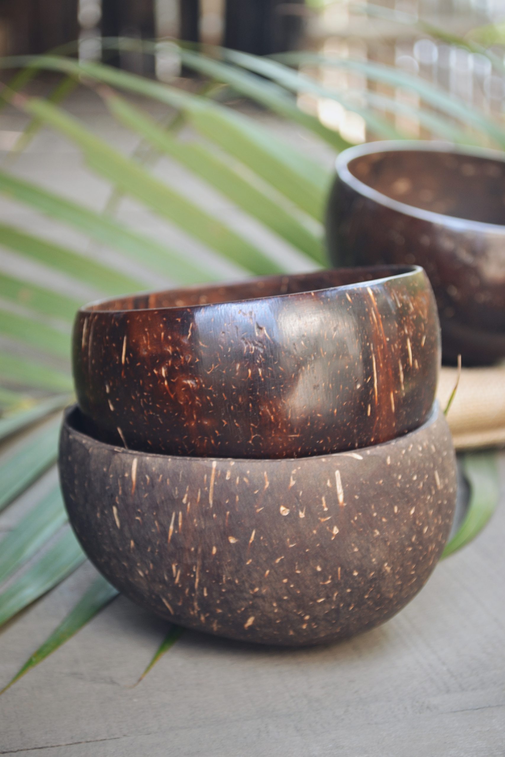 Almitra Sustainables Coconut Bowl