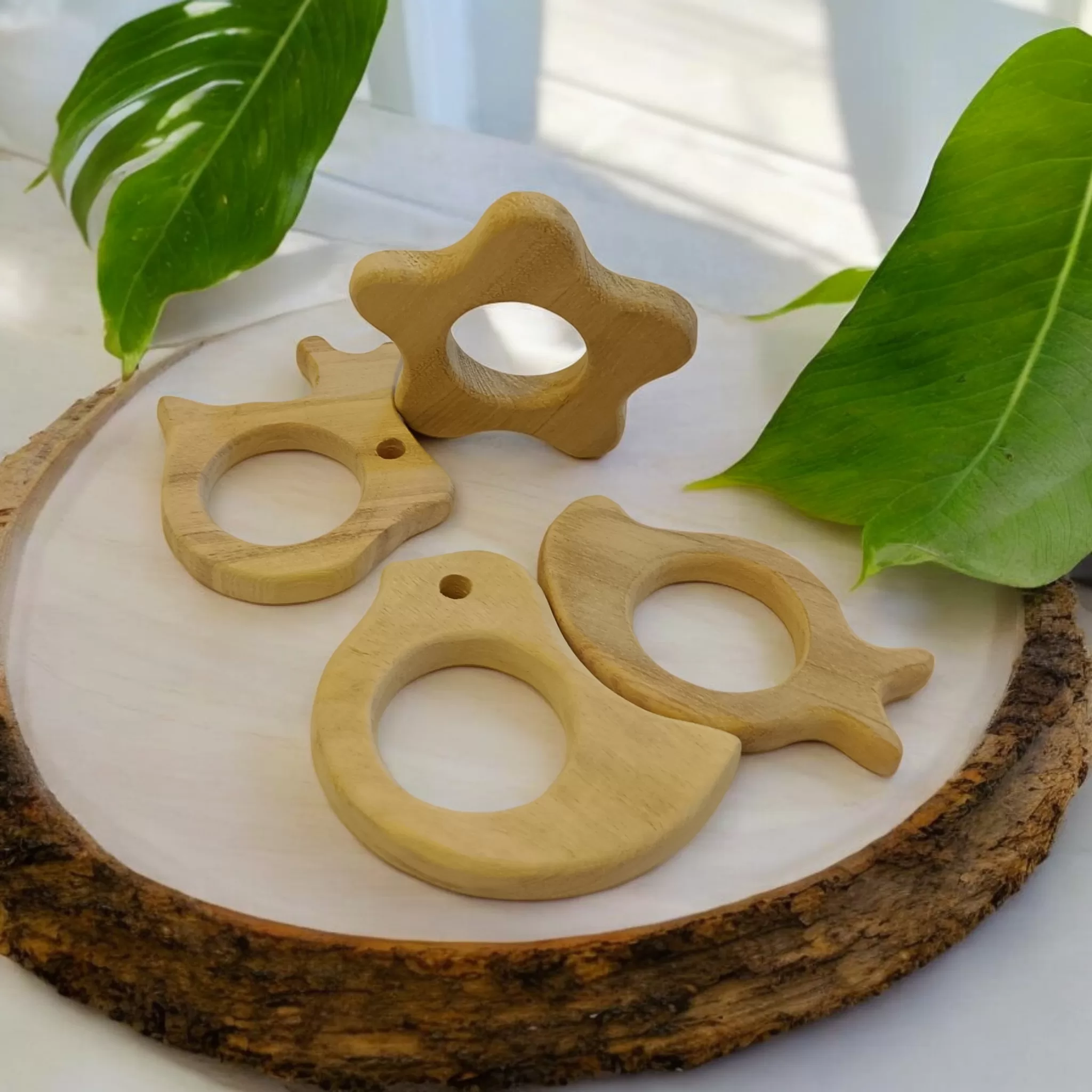 Neemtoys® Wooden Teethers Set
